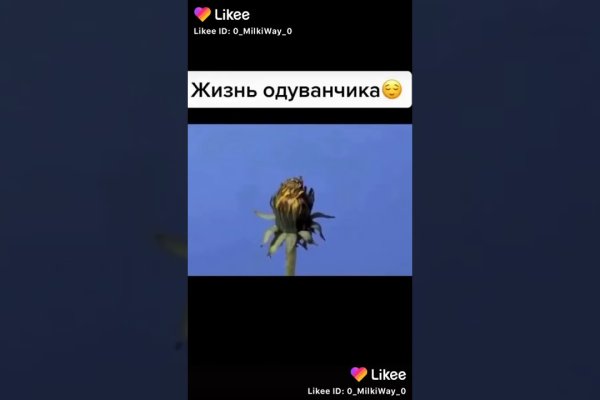 Не пришли деньги на кракен